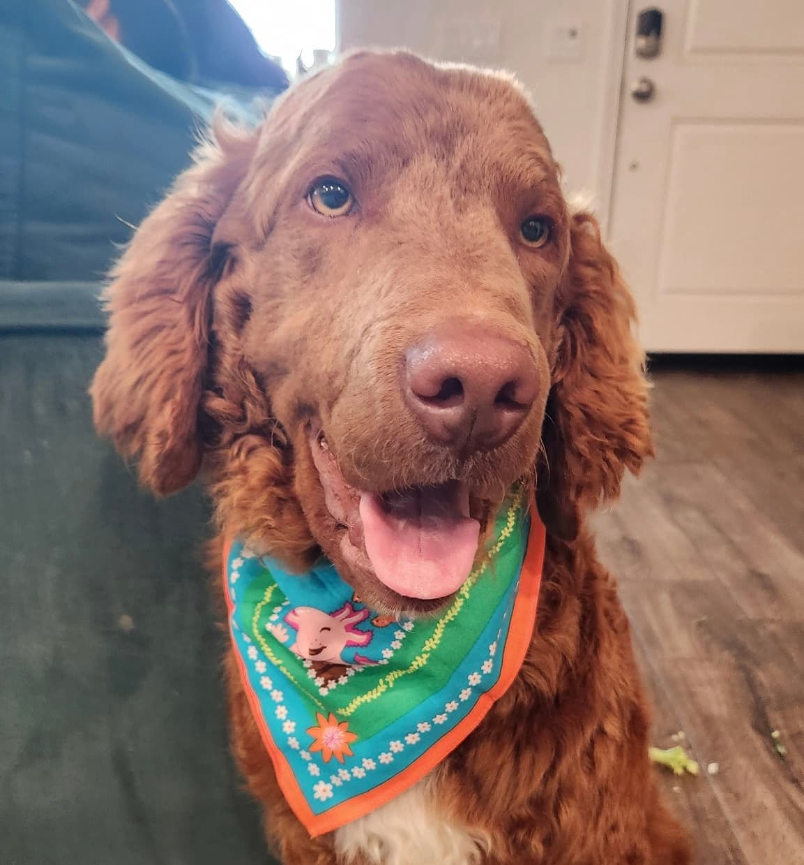 Judah