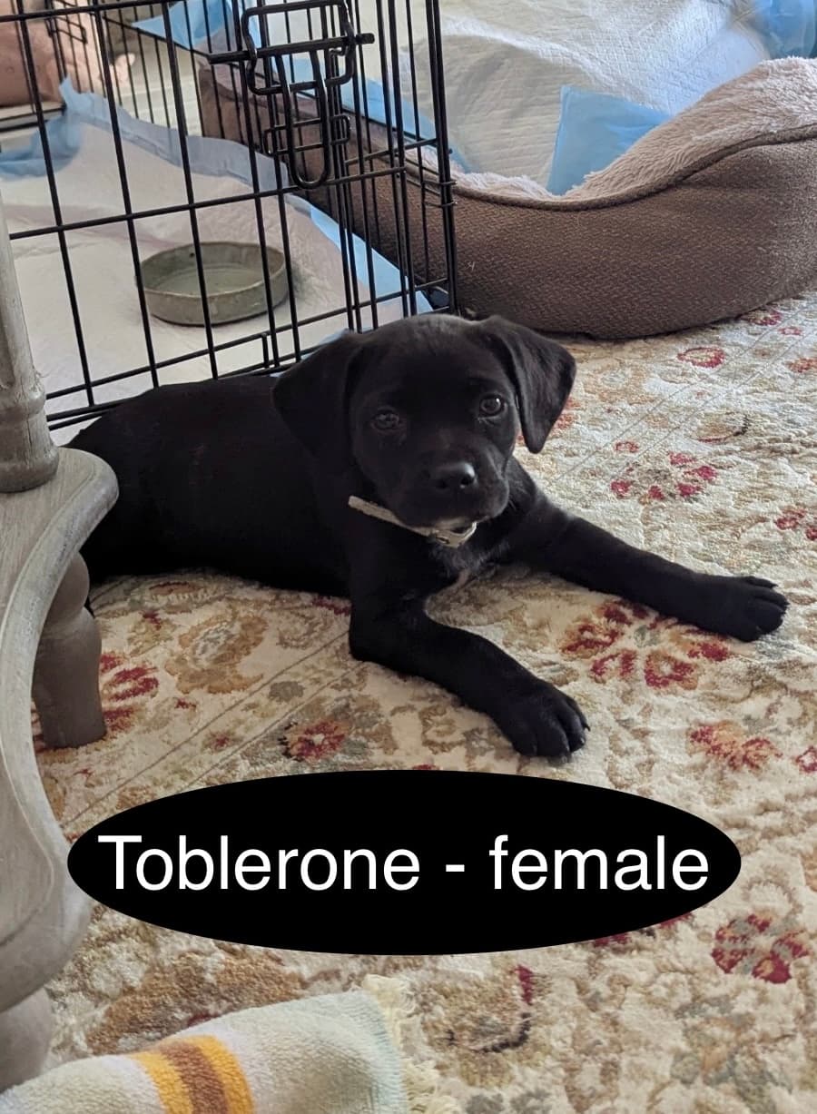 Toblerone