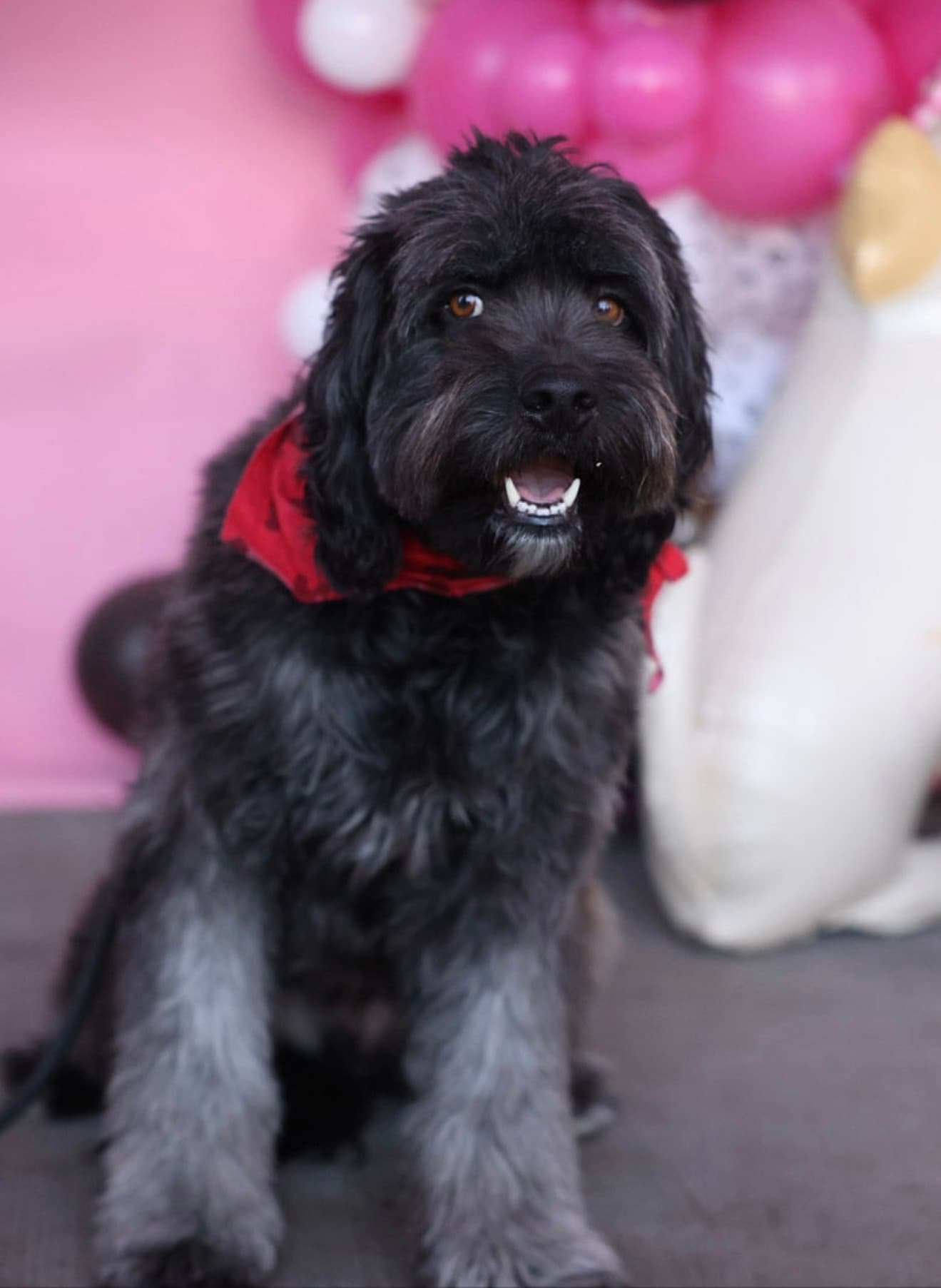 Onyx Emilio