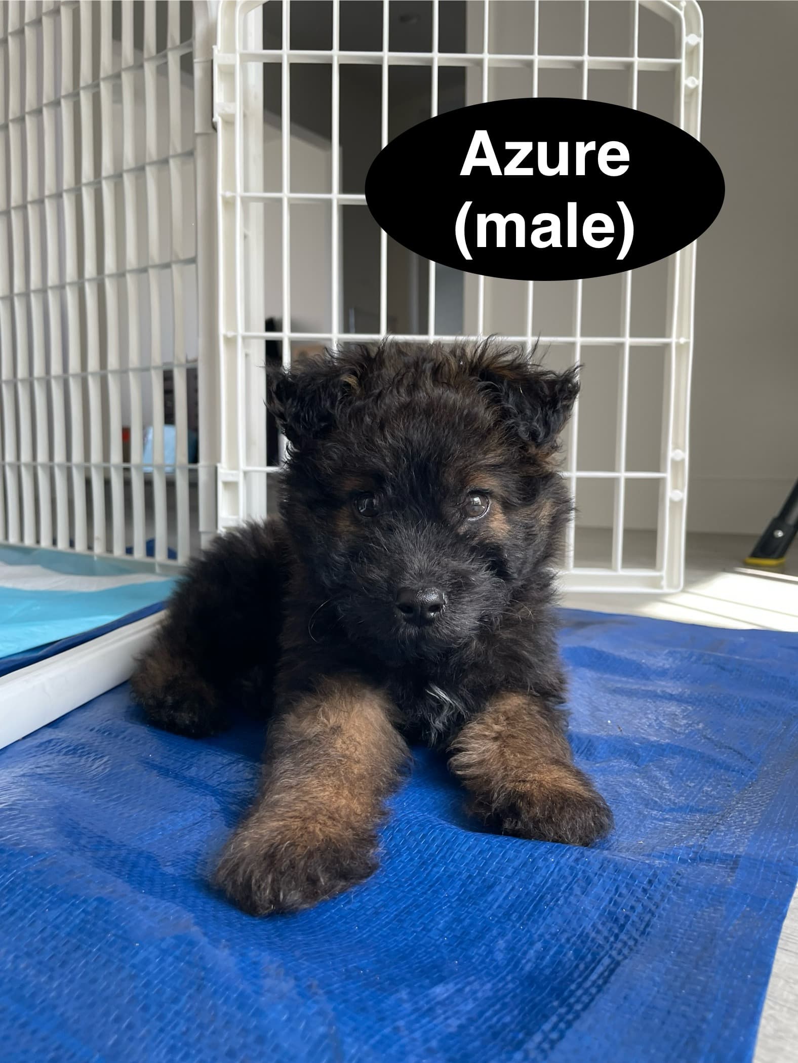 Azure