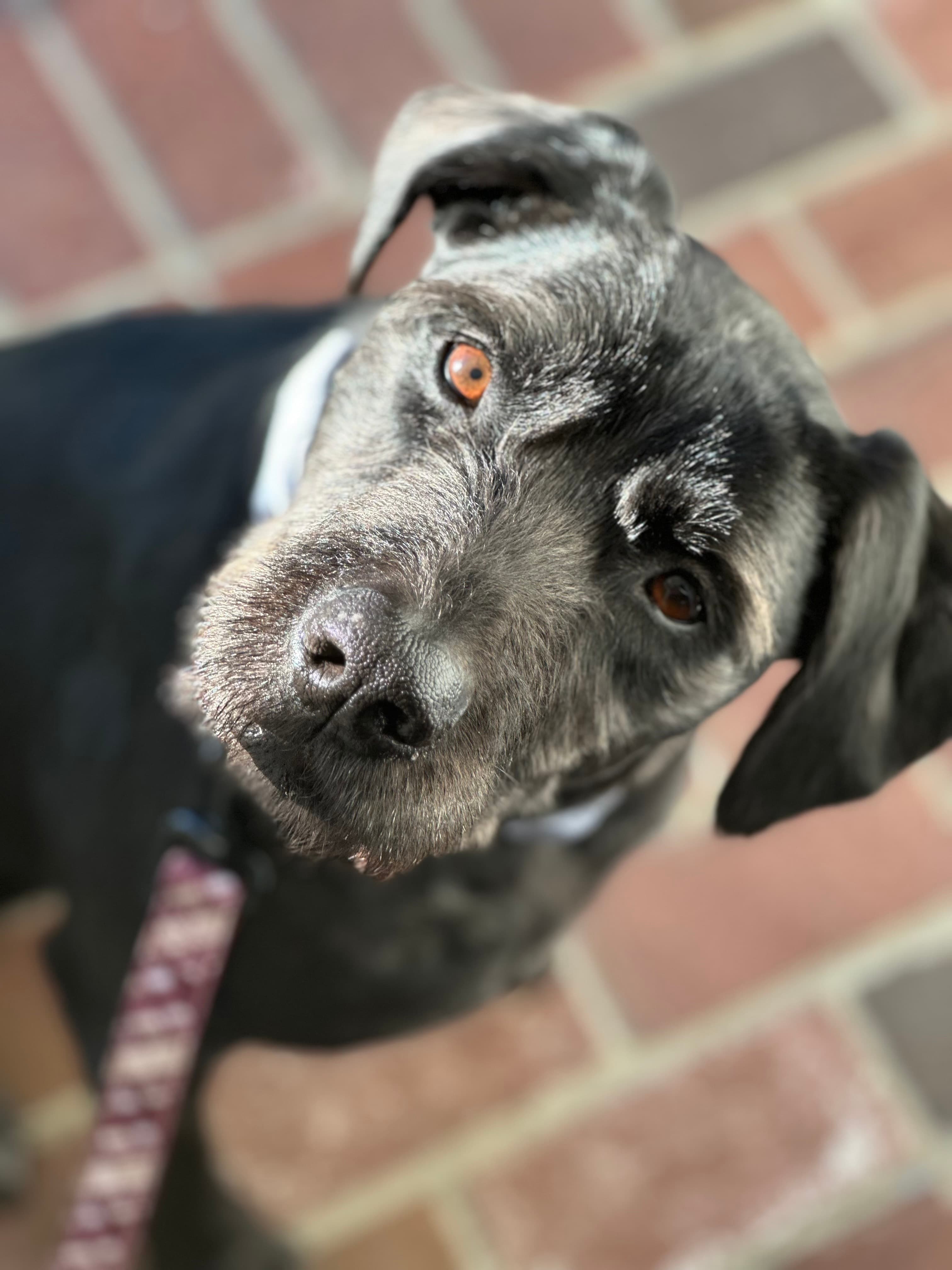 Gretta