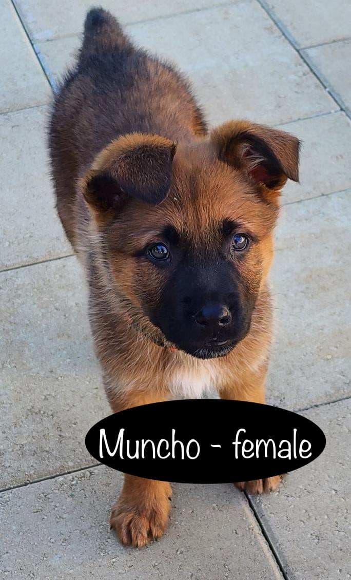 Muncho