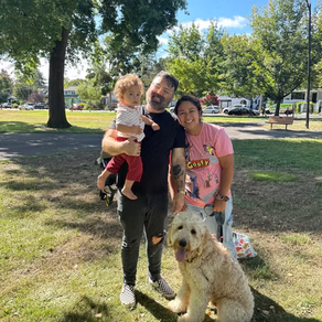Recently adopted Bernedoodle