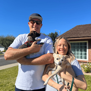 Couple holding two small dogs outdoors.