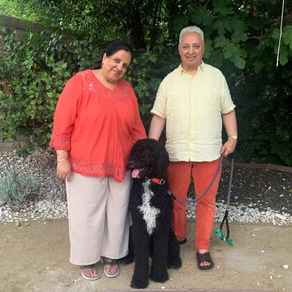 Recently adopted Goldendoodle