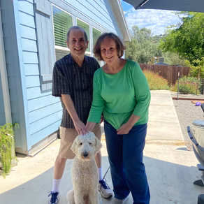 Recently adopted Bernedoodle