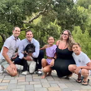 Recently adopted Aussiedoodle
