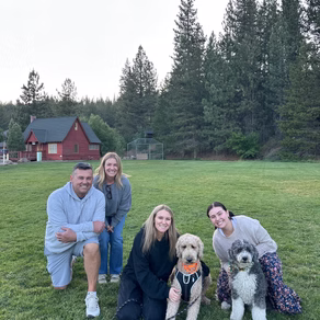 Recently adopted Sheepadoodle