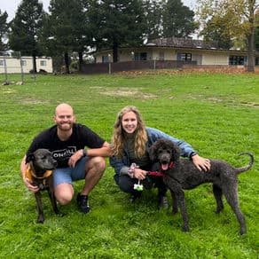 People kneeling on grass with two dogs.