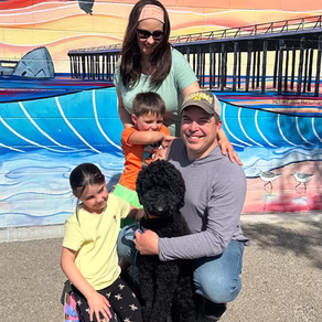 Recently adopted Labradoodle