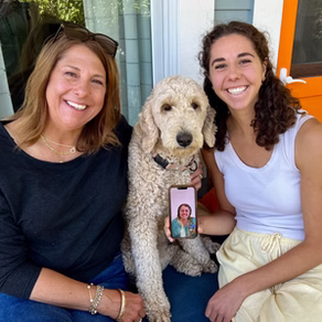 Recently adopted Goldendoodle