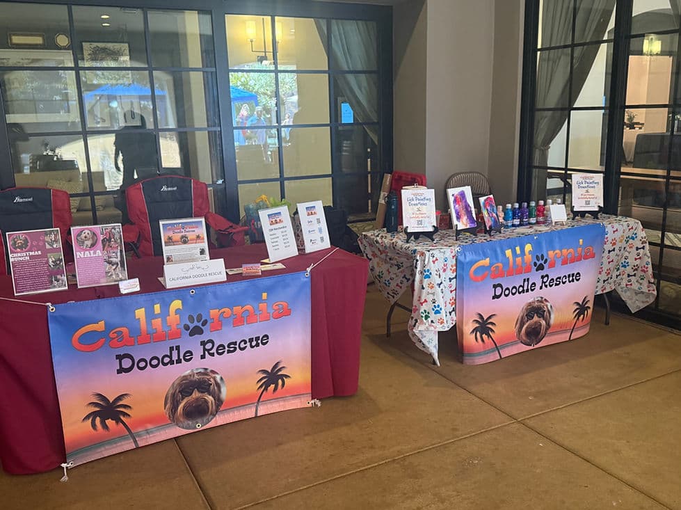 CDR info tables with branded banners indoors.