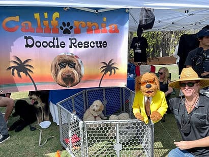 Booth with costumed volunteer and dogs.
