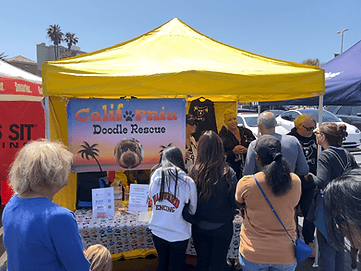 Crowd at the yellow CDR tent.
