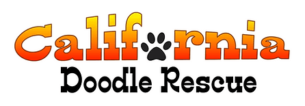 California Doodle Rescue